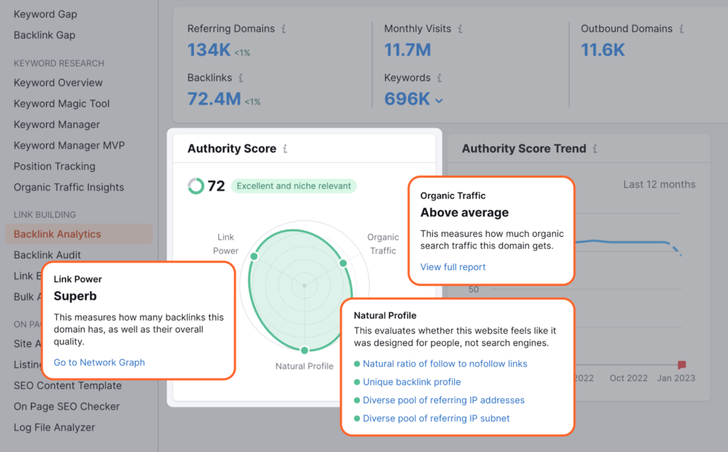 Why Domain Authority Score Matters for Your Website